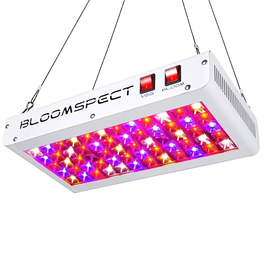 【動作品】 健康用品 brightlight me+ 2023MGZYCOMZIPPERLUMENREDBLACK